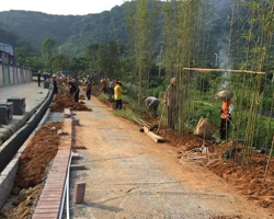 道路兩旁樹木種植綠化工程